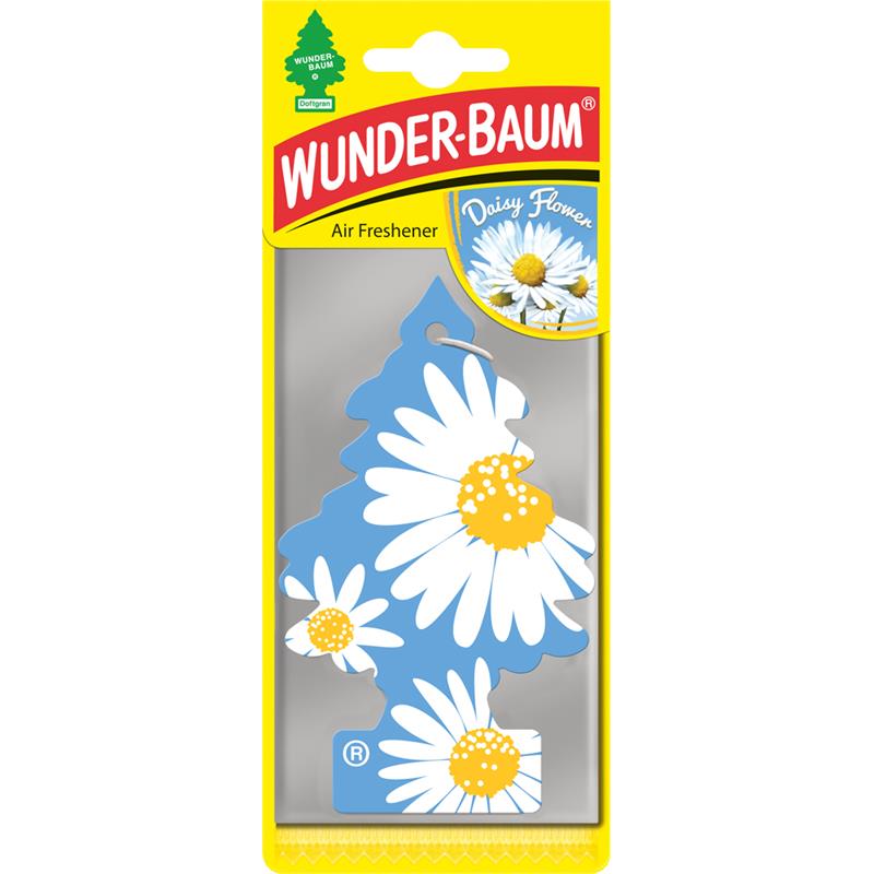 Wunder-Baum Daisy flower
