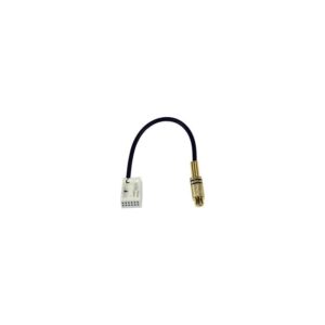 CAS Videoadapter