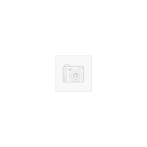 Dension Gateway Lite - Fiat (Quadlock)